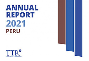 Per - Informe Anual 2021